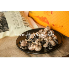 2015 Autumn Dried 4-5cm Tea Flower Mushroom